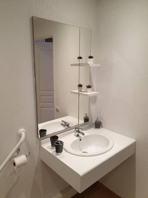 Apartment Agreable En Petite Camargue 35 M2 Wifi