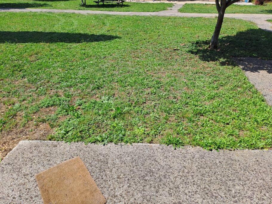 Agreable En Petite Camargue 35 M2 Wifi Apartment *